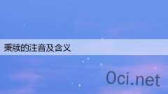 秉牍的注音及含义