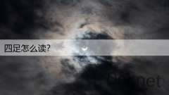 四足怎么读？