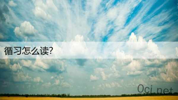 循习怎么读？