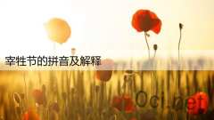 宰牲节的拼音及解释