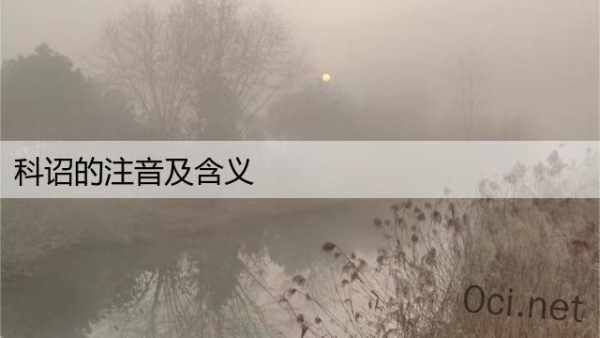 科诏的注音及含义