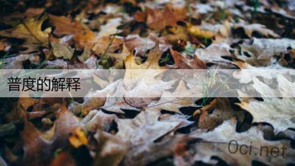 普度的解释