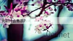 先职什么意思？