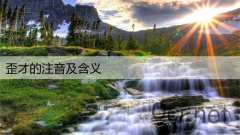 歪才的注音及含义