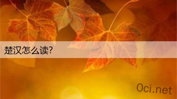 楚汉怎么读？