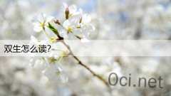 双生怎么读？