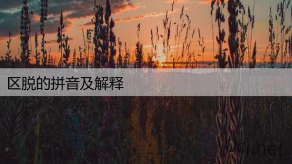 区脱的拼音及解释