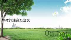 静体的注音及含义