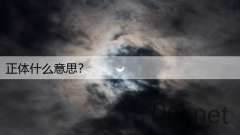 正体什么意思？