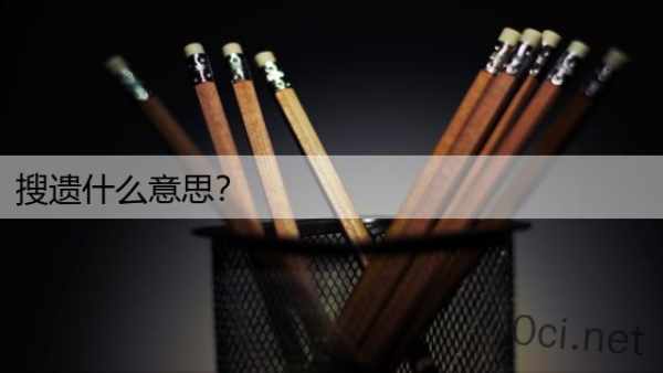 搜遗什么意思？