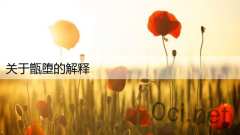 关于甑堕的解释