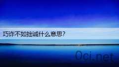 巧诈不如拙诚什么意思?