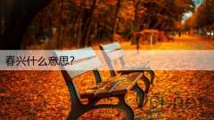 春兴什么意思?