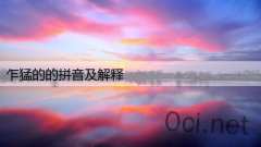 乍猛的的拼音及解释