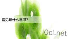 露见是什么意思?