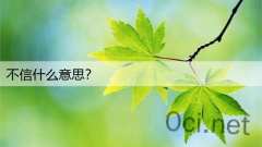 不信什么意思?