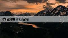 洋行的拼音及解释