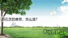 白石芝的意思,怎么读?