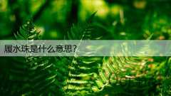 履水珠是什么意思?