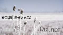 蜜里调油是什么意思?