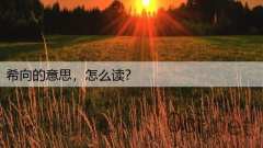 希向的意思,怎么读?