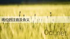 吨位的注音及含义