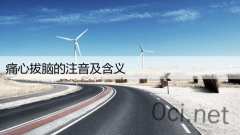 痛心拔脑的注音及含义