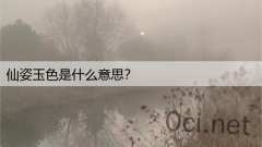 仙姿玉色是什么意思?