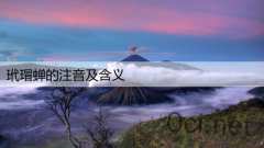 玳瑁蝉的注音及含义