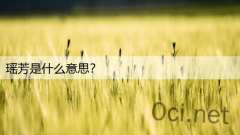 瑶芳是什么意思?