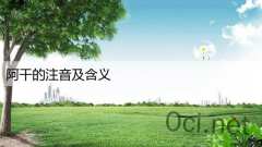 阿干的注音及含义