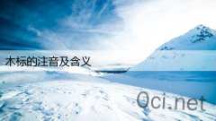 木标的注音及含义