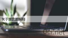 关于放言的解释