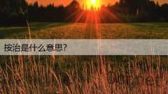 按治是什么意思?