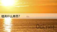 植类什么意思?