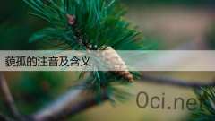 藐孤的注音及含义