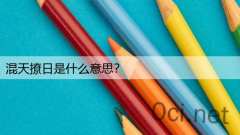 混天撩日是什么意思?