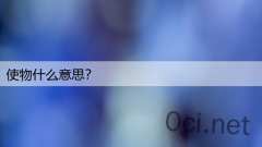 使物什么意思?