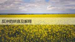 反冲的拼音及解释