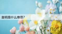 皇明是什么意思?