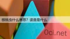 核桃虫什么意思?读音是什么