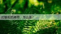 打骸垢的意思,怎么读?