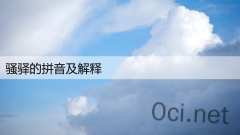 骚驿的拼音及解释