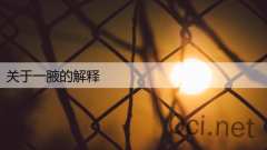 关于一腋的解释