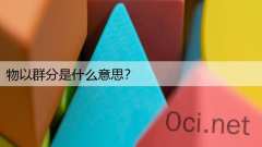 物以群分是什么意思?
