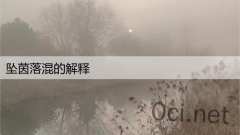 坠茵落混的解释