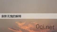 衾影无愧的解释