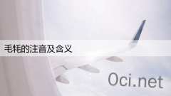 毛牦的注音及含义