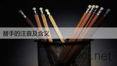 替手的注音及含义