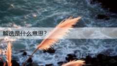 解选是什么意思?